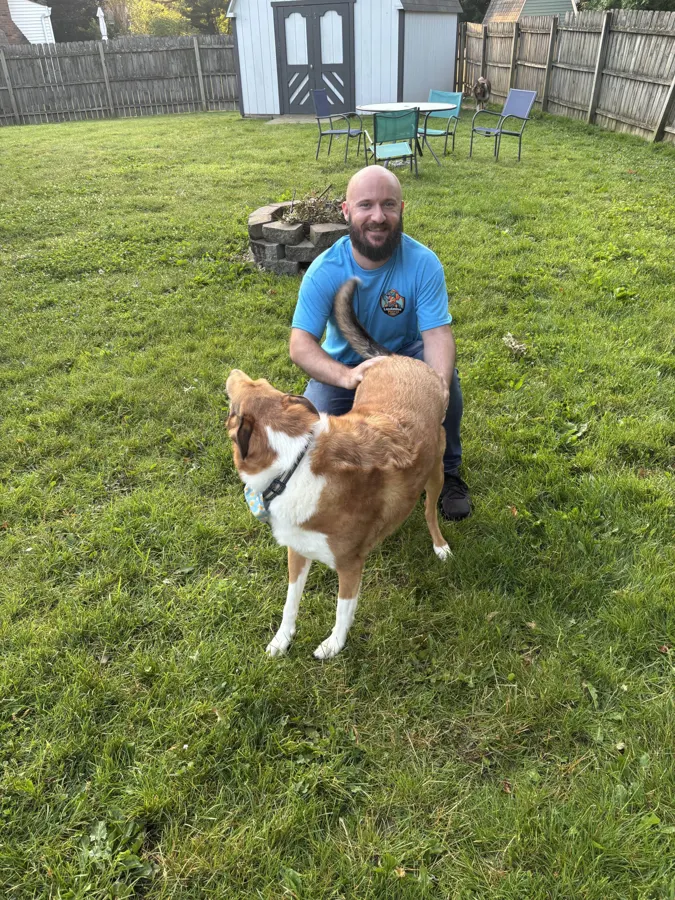 Dog in a freshly cleaned fenced yard