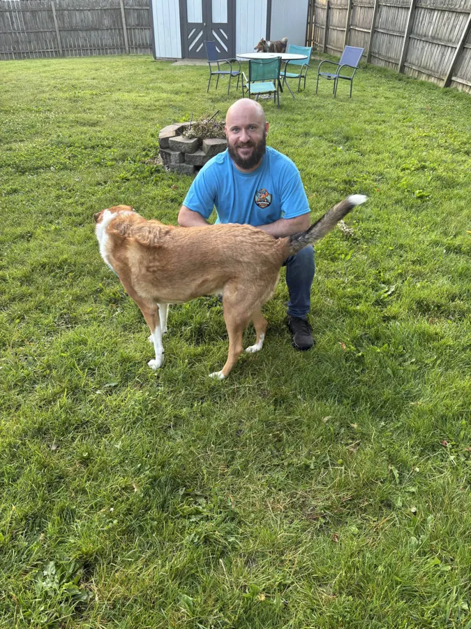 Clean backyard with a collie sitting in the grass